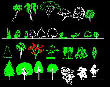 园林立面植物图例