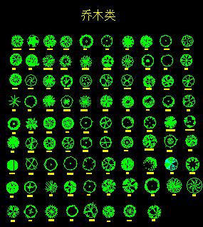 棕榈科等植物CAD图块