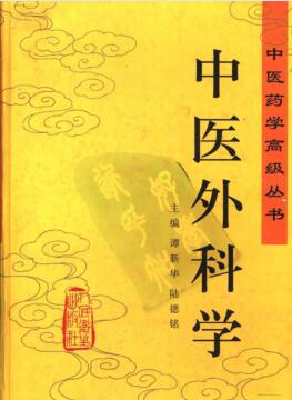 中医药学高级丛书—中医外科学